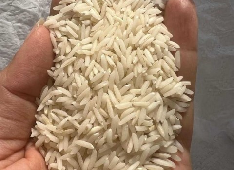 خرید و قیمت برنج معطر محلی + فروش صادراتی